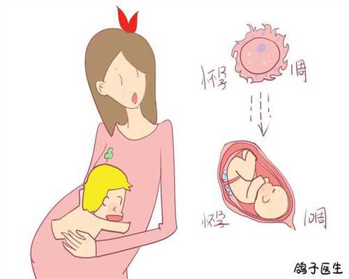 杨颖代孕：10大食物暖宫更助孕正规医院代孕