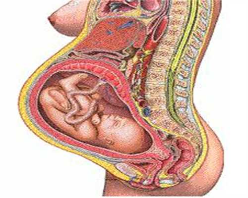 南昌双胞胎代孕套餐-南昌人工代孕合法吗-一胎生双胞胎女儿,二胎生四胞代孕胎