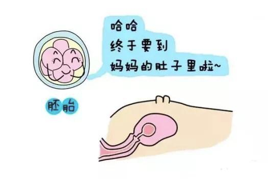 供卵怀孕要做很多检查吗，上海供卵捐卵公司