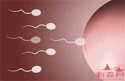 广州代孕产子怎么样，广州捐卵试管代孕医院排名，附捐卵试管费用明细！